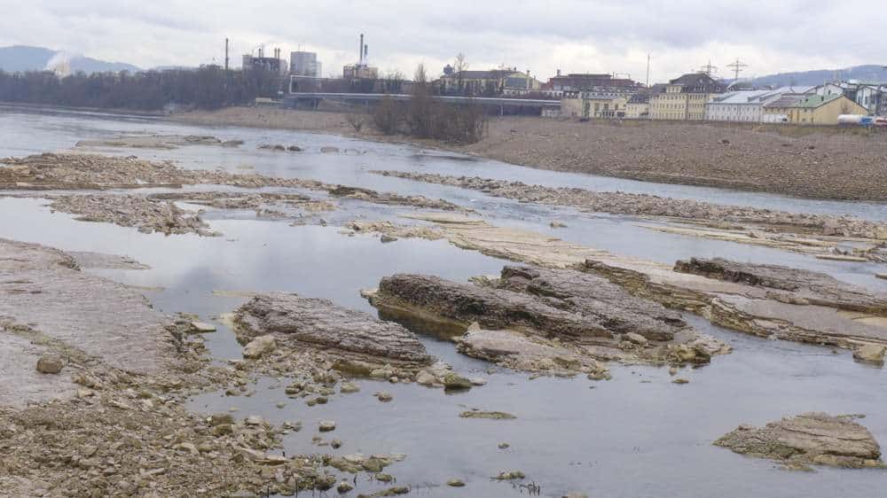 Die natürliche Muschelkalkformation am Kraftwerk ist Lebensraum vieler Tiere und Pflanzen.