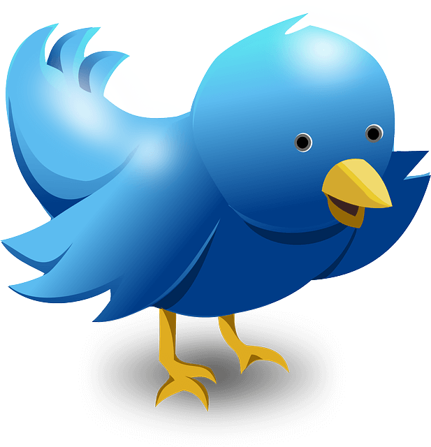 Twittern richtig machen und profitieren! Twittern richtig machen und profitieren!