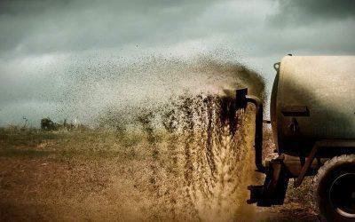 „Ich hol‘ mir deine Katze“ – Shitstorms gegen Einzelpersonen