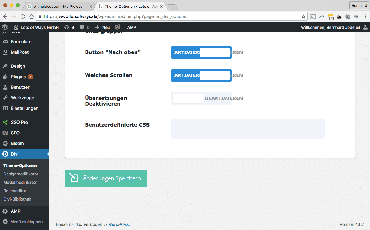 Google Maps API Divi Zugangsschlüssel abspeichern Google Maps API Divi Zugangsschlüssel abspeichern