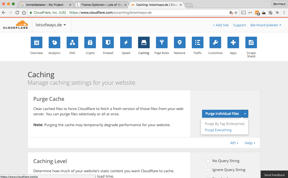 Google Maps API purge everything Google Maps API purge everything