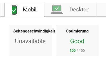 Screenshot Google Page Speed Test with result 100 out of 100 points